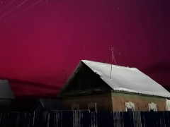 Фото: Полина Янакова