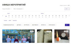 В Приамурье заработала цифровая витрина концертов, спектаклей и фестивалей