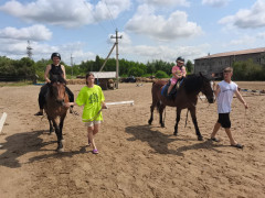 конноспортивный клуб аллюр лошади