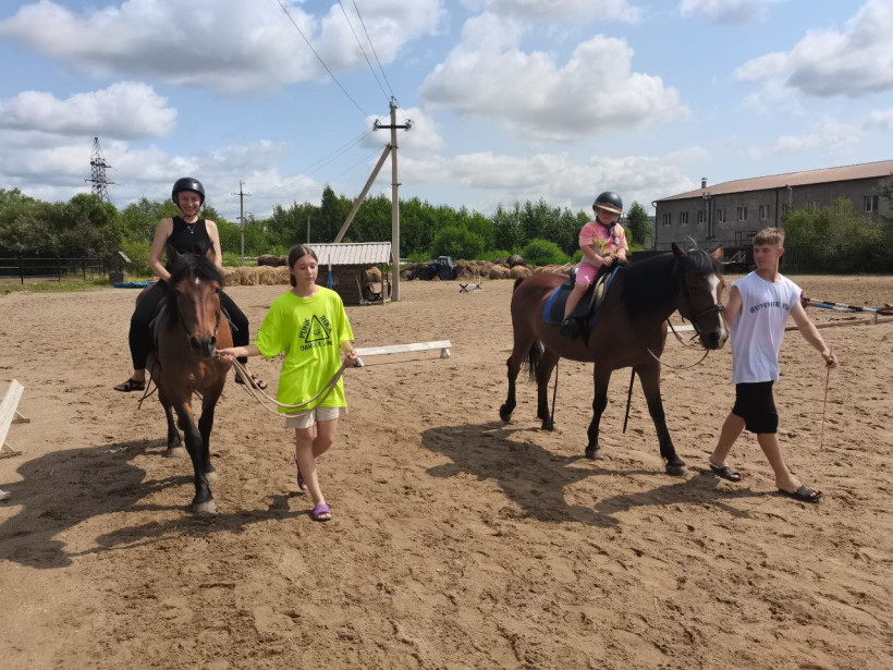 конноспортивный клуб аллюр лошади