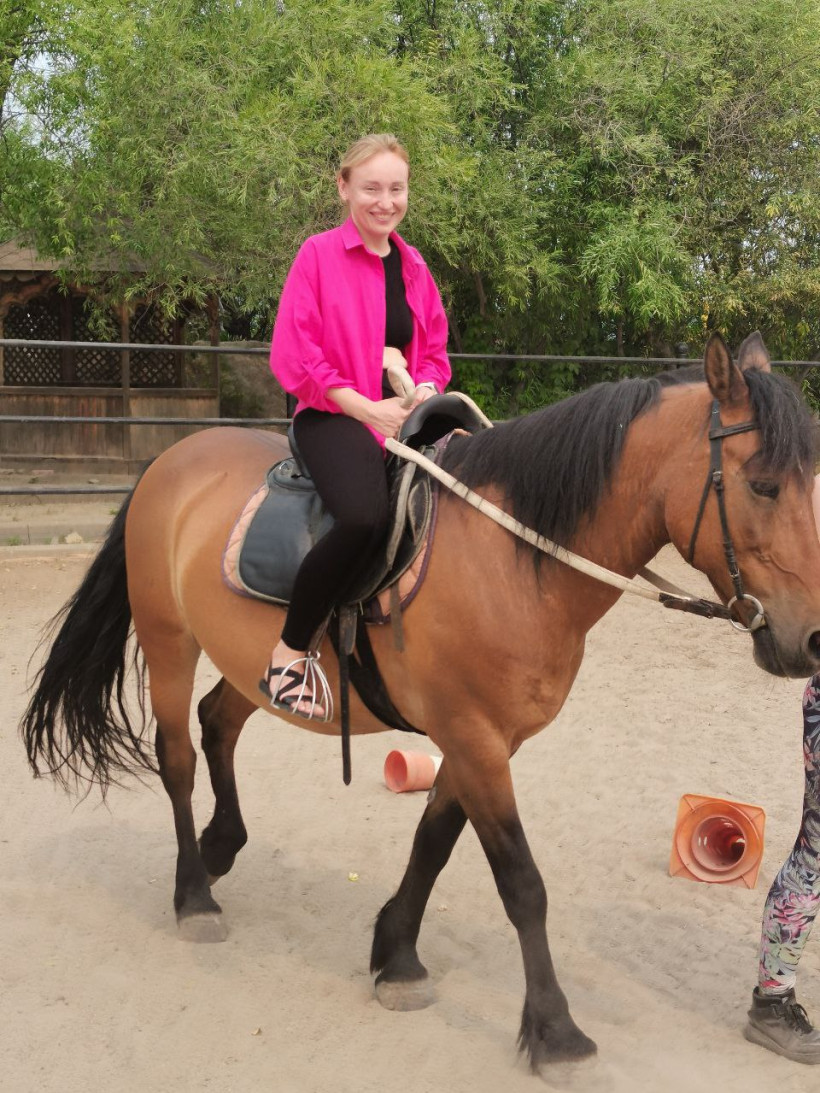 конноспортивный клуб аллюр лошади