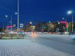 тенистая калинина