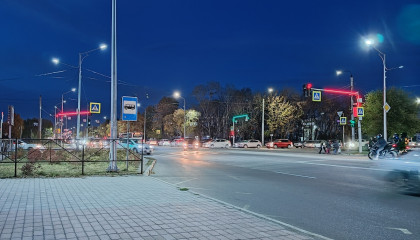 тенистая калинина