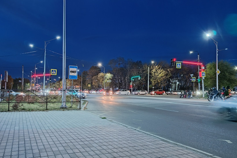 тенистая калинина