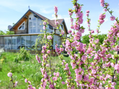 с. Грибское Агрофирма Сорт Сайт