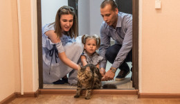 Более 20 молодых семей получат господдержку на приобретение жилья в Амурской области