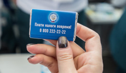 Амурчане в 2025 заплатили налогов на четверть больше, чем годом раньше: в чем причина