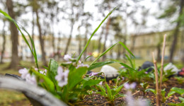 Благовещенцы выберут территории-претенденты на благоустройство по народному голосованию