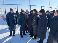 зимфестамур