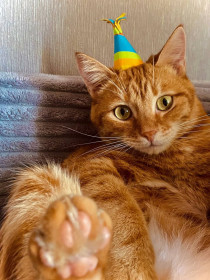 Рей, беспородный дворянин. с. Васильевка Белогорского округа