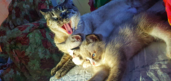 Кристина и ее дети