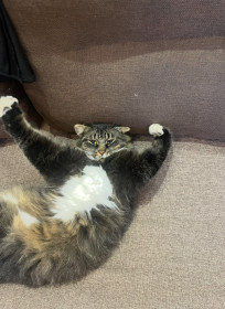 Вася, Васенька, Васёк