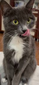 Ася, г. Сковородино