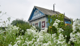 Газ для садоводов: кто из обладателей дач в Благовещенске имеет право на голубое топливо