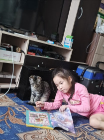 Кузя, наполовину мейн-кун