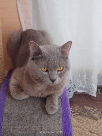 Тихон, г. Челябинск