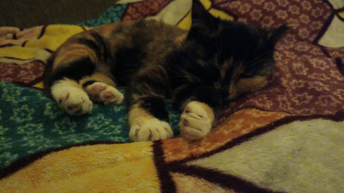 Люся, которая любит играть