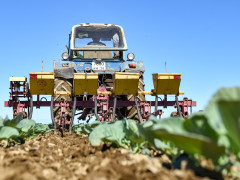 аграрии сельское хозяйство АПК