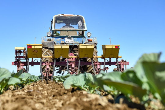 аграрии сельское хозяйство АПК