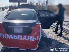 нелегальная торговля цветами