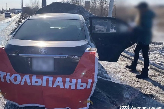 нелегальная торговля цветами