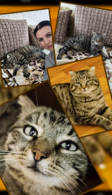 Мурлыка Мурзик, с. Садовое