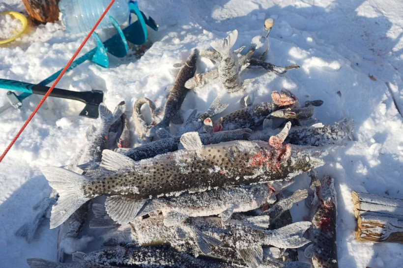 подледная рыбалка зимняя рыбалка