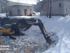 очистка бурхановки