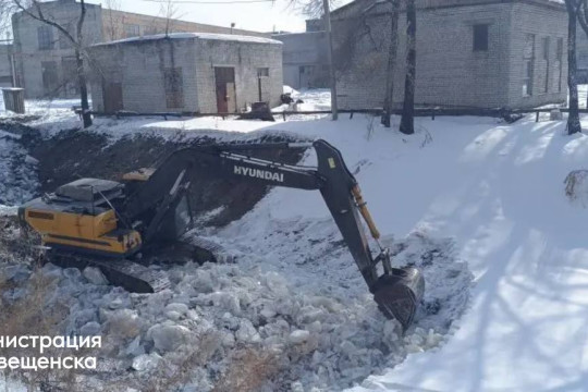 очистка бурхановки