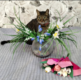 Шантик в весенних цветах...