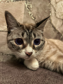 Мила, г. Хабаровск