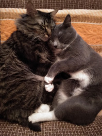 Филимон и Василий