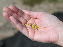 сельское хозяйство аграрии агроном апк