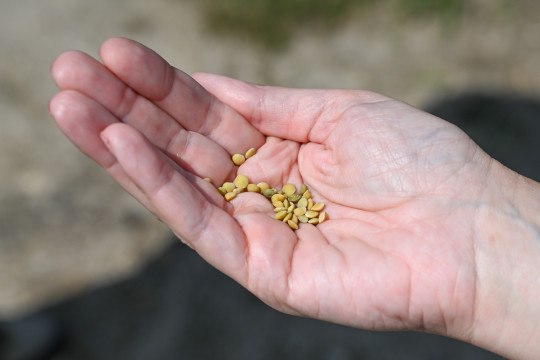 сельское хозяйство аграрии агроном апк