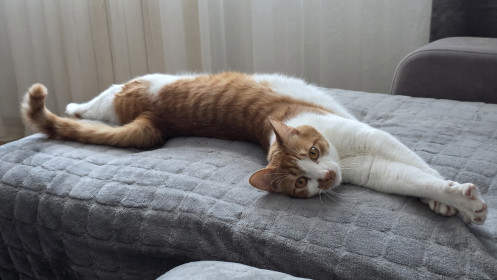 Семён, дворянин, г. Благовещенск