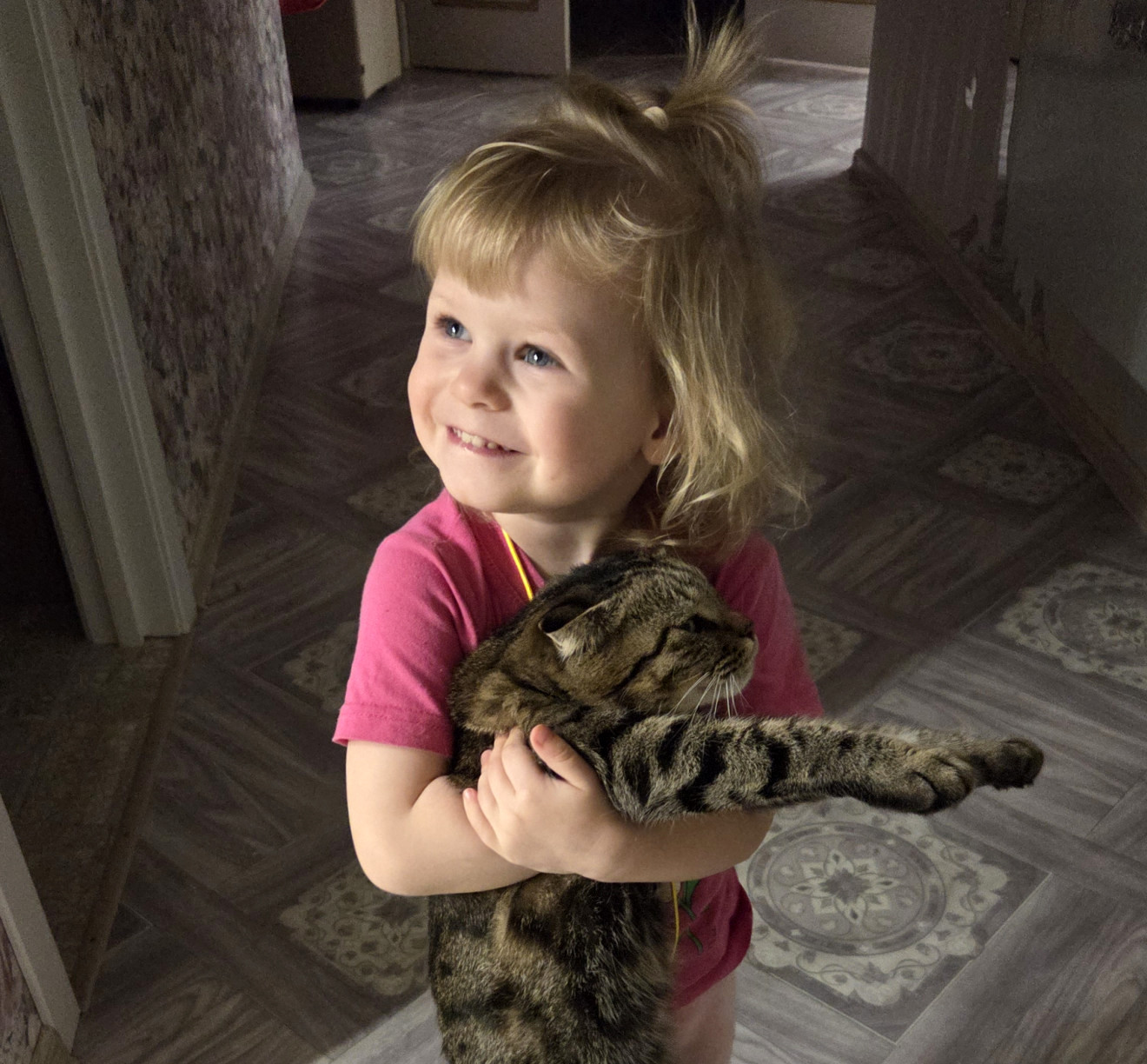 Улыбнутся даже собачники: на конкурс «Амурской правды» пришли коты-хулиганы, романтики и экстремалы