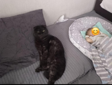 Филя, британец. г. Белогорск