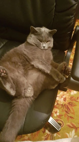 Рикки, британец. п. Юктали Тындинский округ