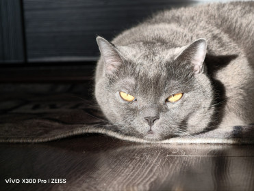 Сёма, британец, г. Благовещенск