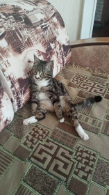 Матильда, 3 года. г. Зея