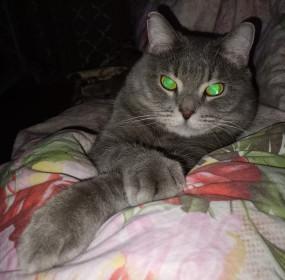 Дым-дымыч, 7 лет