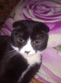 Муся, дворянка