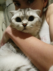 Наша Мисси, 1 год