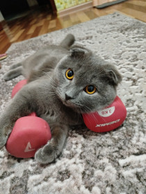 Котик Плюх, 8 месяцев