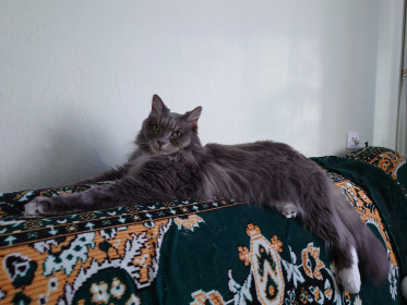 Крис, 12 лет, г. Зея