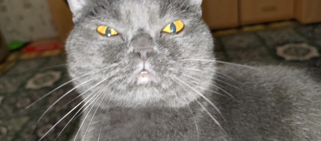 Кузьма, 7 лет