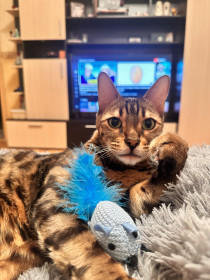 Кемаль, г. Зея