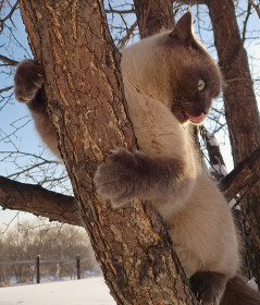 Семён, 6 лет. п. Архара