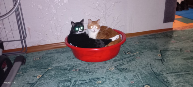 Мартин и Марта, дворяне