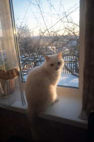 Котя, п. Огорон